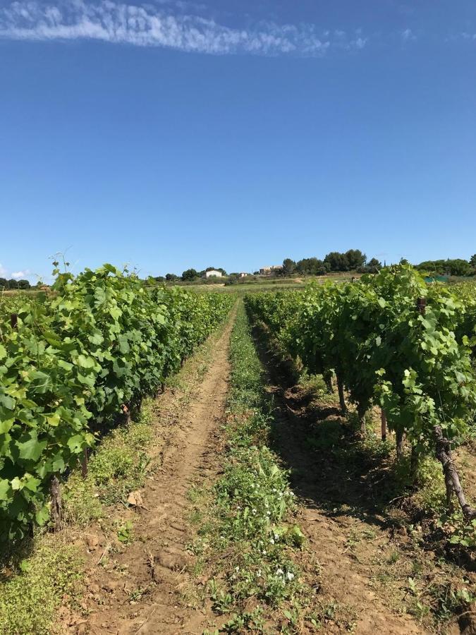 Roujan Domaine De Peilhan מראה חיצוני תמונה