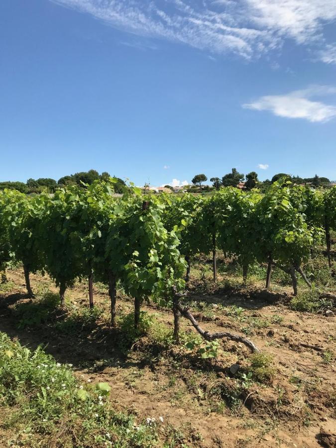 Roujan Domaine De Peilhan מראה חיצוני תמונה