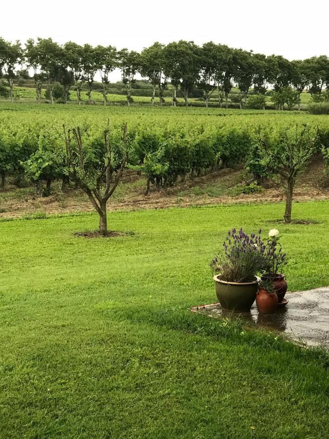 Roujan Domaine De Peilhan מראה חיצוני תמונה