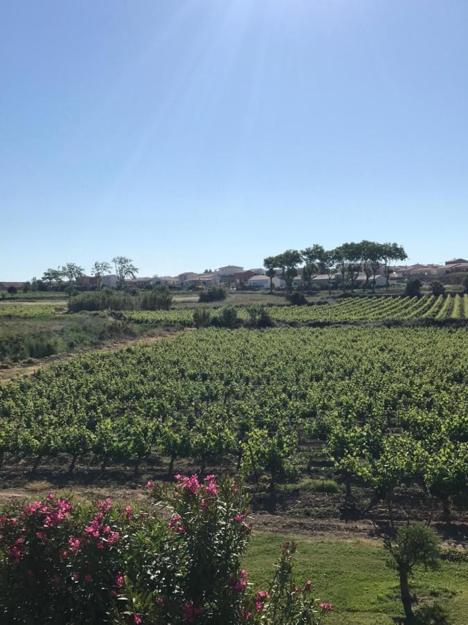 Roujan Domaine De Peilhan מראה חיצוני תמונה
